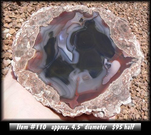 Baker Thunderegg