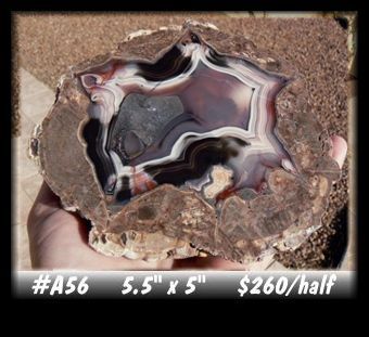 Baker Thunderegg