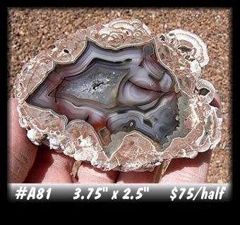 Baker Thunderegg