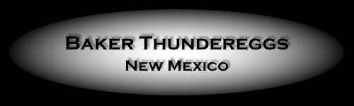 Baker Thundereggs from New Mexico